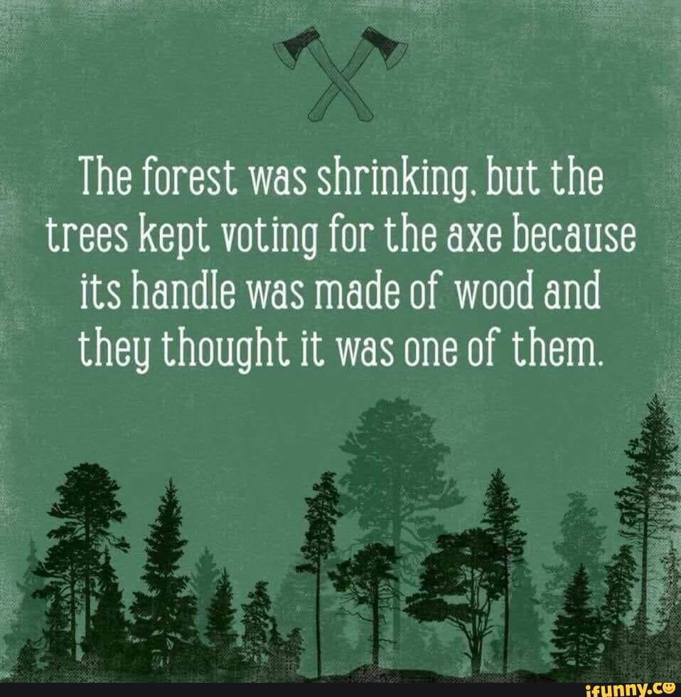 The forest was shrinking. but the trees kept voting for the axe because