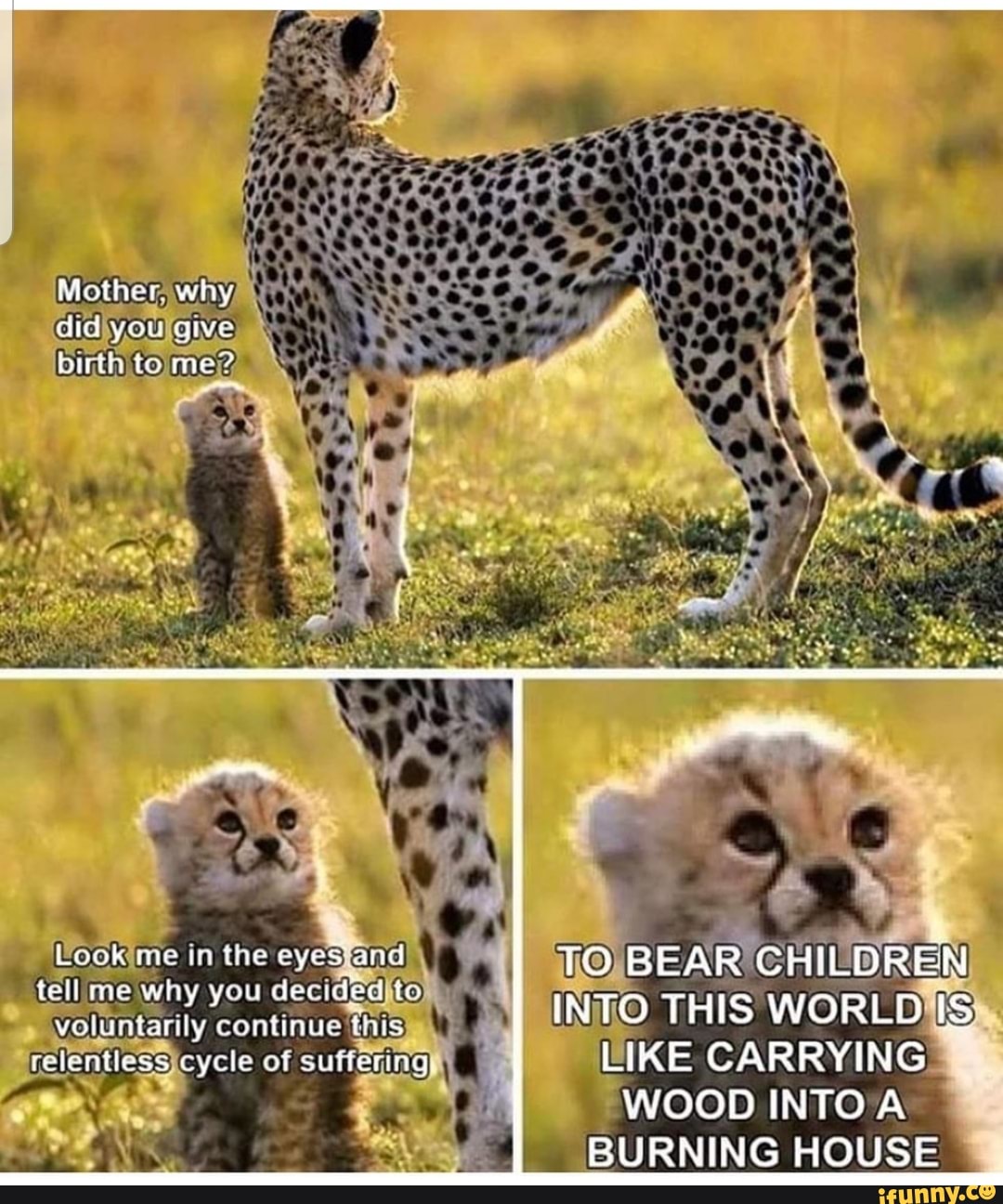 I Didn T Ask To Be Born Sobs Uncontrollably Sos Mother Why Did You Ave Birth To Me Look Me In The Eyes And To Bear Children Into This World Tell