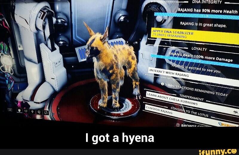 I got a hyena - I got a hyena