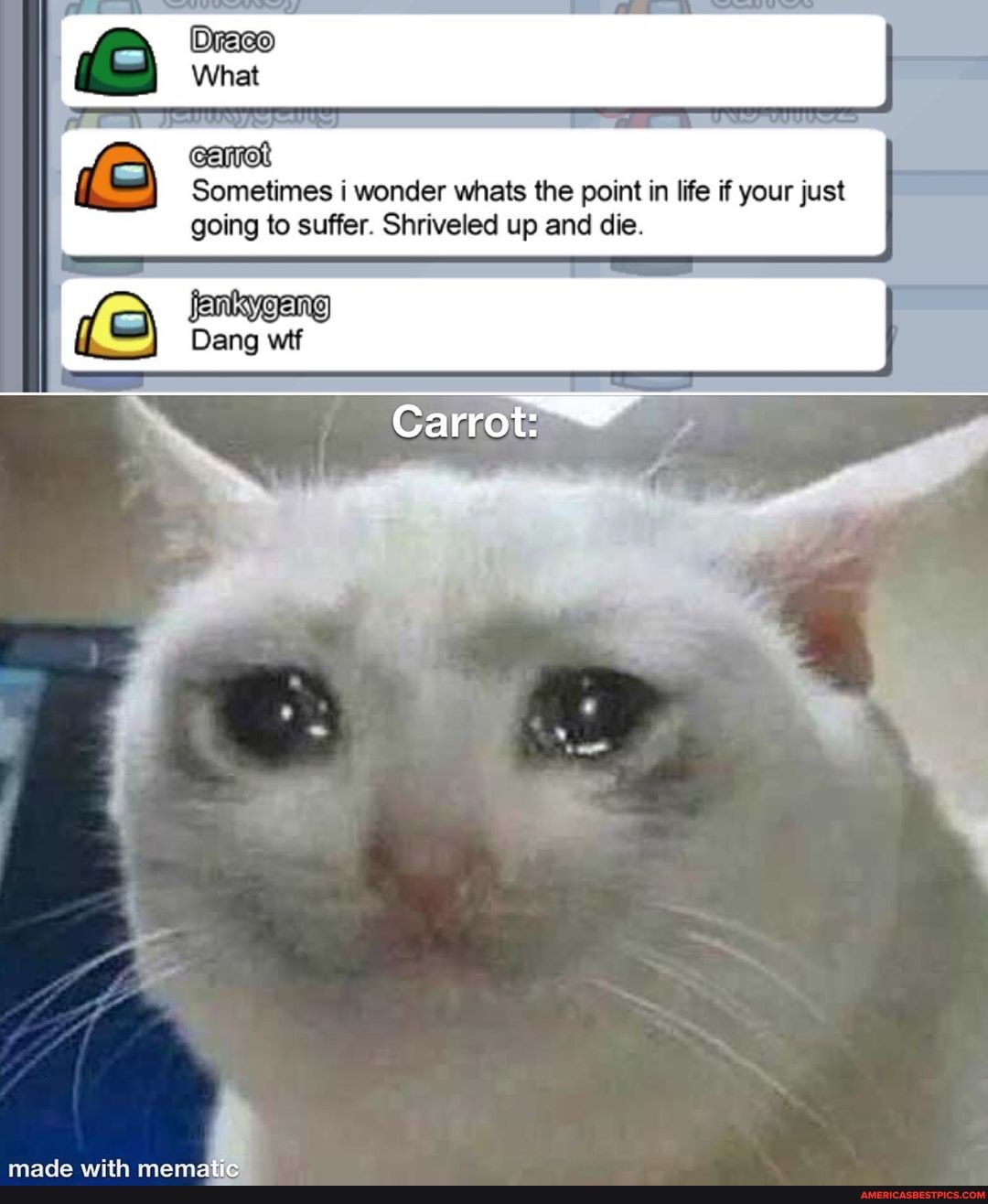 Cannot
Sometimes i wonder whats the point in life if your just going to suffer. Shriveled up and die.
jankygang
Dang wif
Carrot: