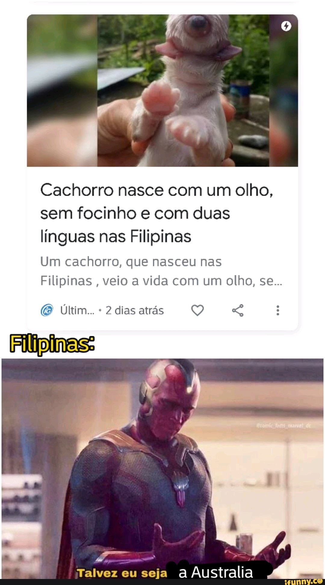 Cachorro nasce com um olho, sem focinho e com duas línguas nas Filipinas
Um cachorro, que nasceu nas
Filipinas, veio a vida com um olho, se...
& Últim.. - 2 dias atrás Q
Filipimas:
Talvez eu seja
Australia