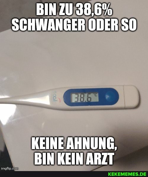 BIN ZU 38,6%
SCHWANGER ODER SO
KEINE AHNUNG,
BIN KEIN ARZT