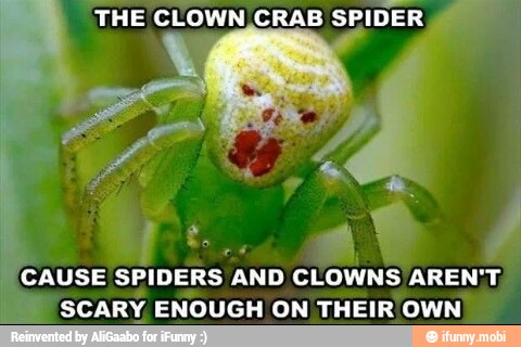 = ¡"THE CLOWN CRAB SPIDER
y
CAUSE SPIDERS AND
CLOWNS AREN'T,
SCARY, ENOUGH ON THEIR OWN