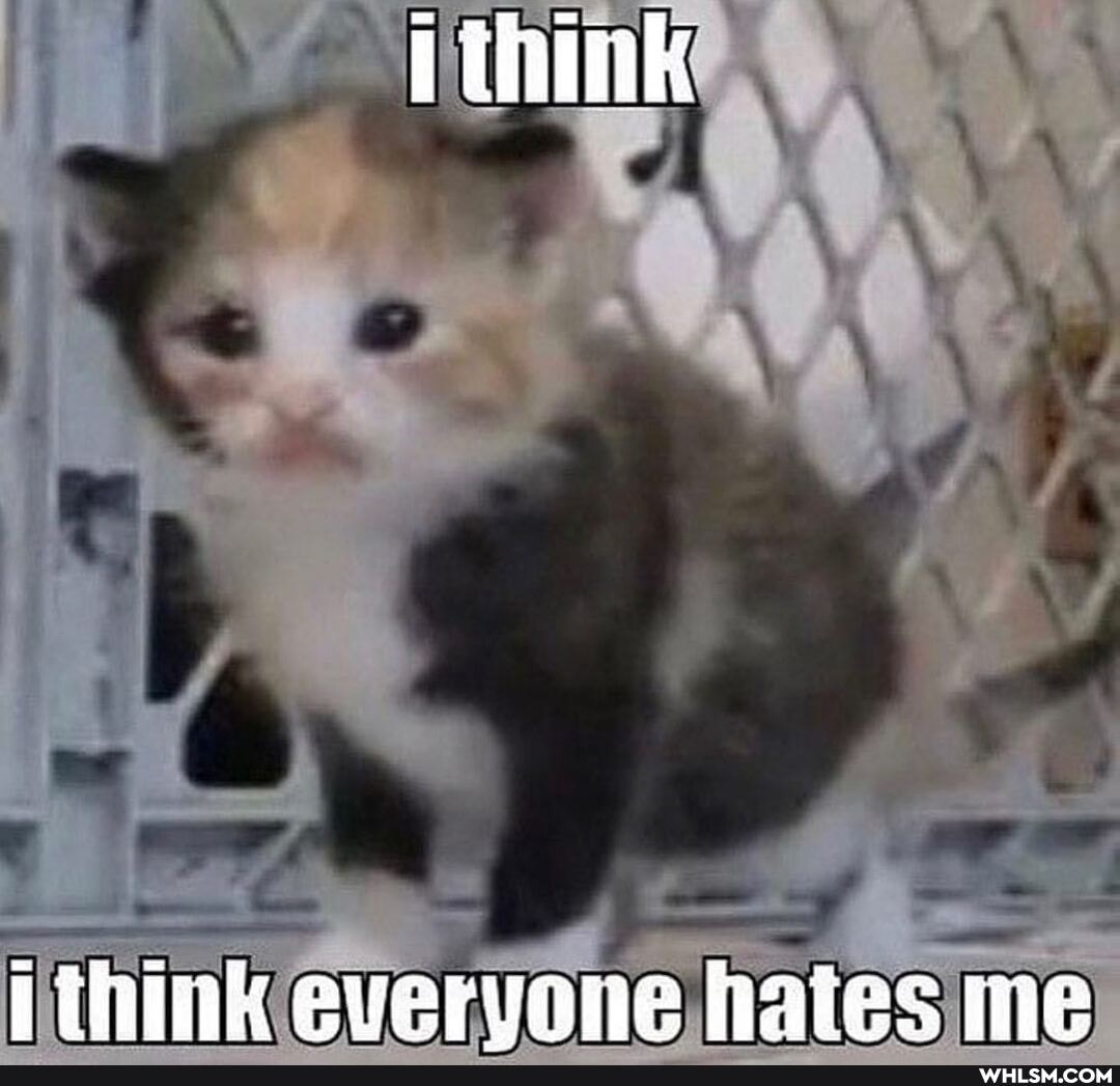 think
everyone naies Wiee