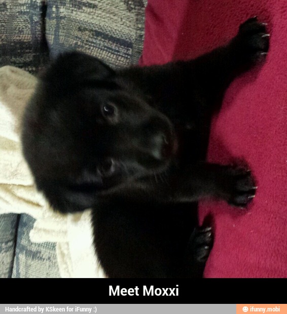 Meet Moxxi - Meet Moxxi