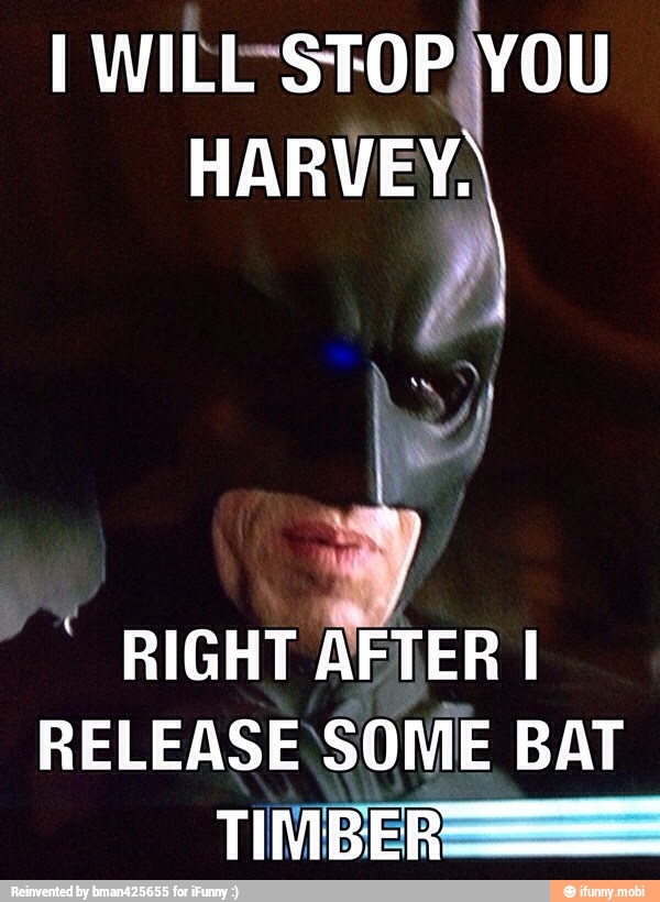 y
RIGHT AFTER I
RELEASE SOME BAT