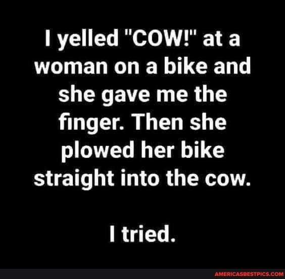 yelled "COW!" at woman on a bike and she gave me the finger. Then she plowed her bike straight into the cow.
tried.