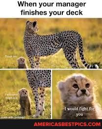 When your manager inishes your deck