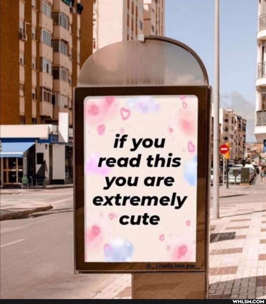you are extremely cute
if you read this