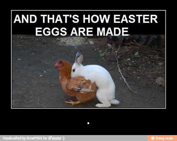 AND THAT'S HOW EASTER
EGGS ARE MADE.
CeO - .