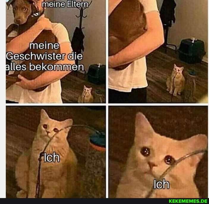 @eschwiste
meine
alles bekommen