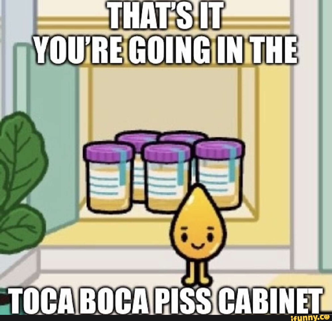THATS IT YOU'RE GOING IN THE TOCA BOCA PISS iFunny