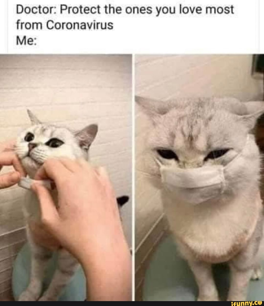 Doctor: Protect the ones you love most from Coronavirus
Me: