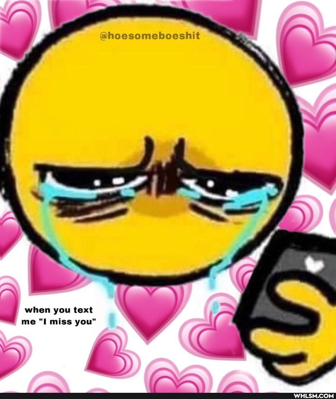 @@hoesomeboeshit
when you text me "I miss you"
