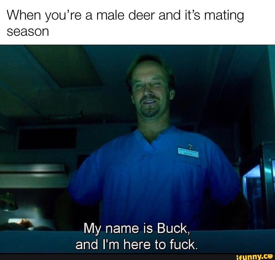 When you're a male deer and it's mating season
My name is Buck, and I'm here to fuck.