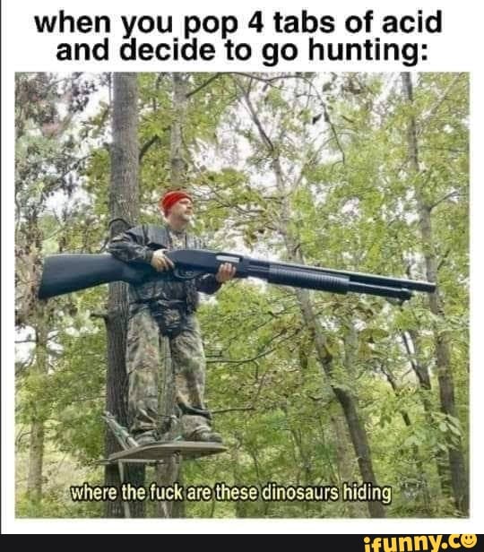 when you pop 4 tabs of acid
and decide to go hunting:
E
AAA