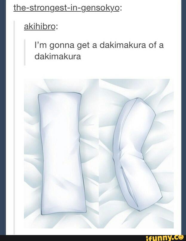 funny dakimakura