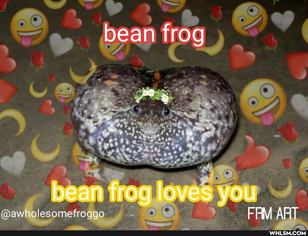 bean frog
bean frog loves you
@awholesomefroggo FRM ART