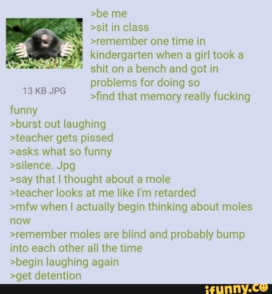 >be me
>sit in class
>remember one time in kindergarten when a girl took a shit on a bench and got in problems for doing so
>find that memory really fucking
13 KB JPG funny
>burst out laughing
>teacher gets pissed
>asks what so funny
>silence. Jpg
>say that I thought about a mole
>teacher looks at me like I'm retarded
>mfw when I actually begin thinking about moles now
>remember moles are blind and probably bump into each other all the time
>begin laughing again
>get detention
