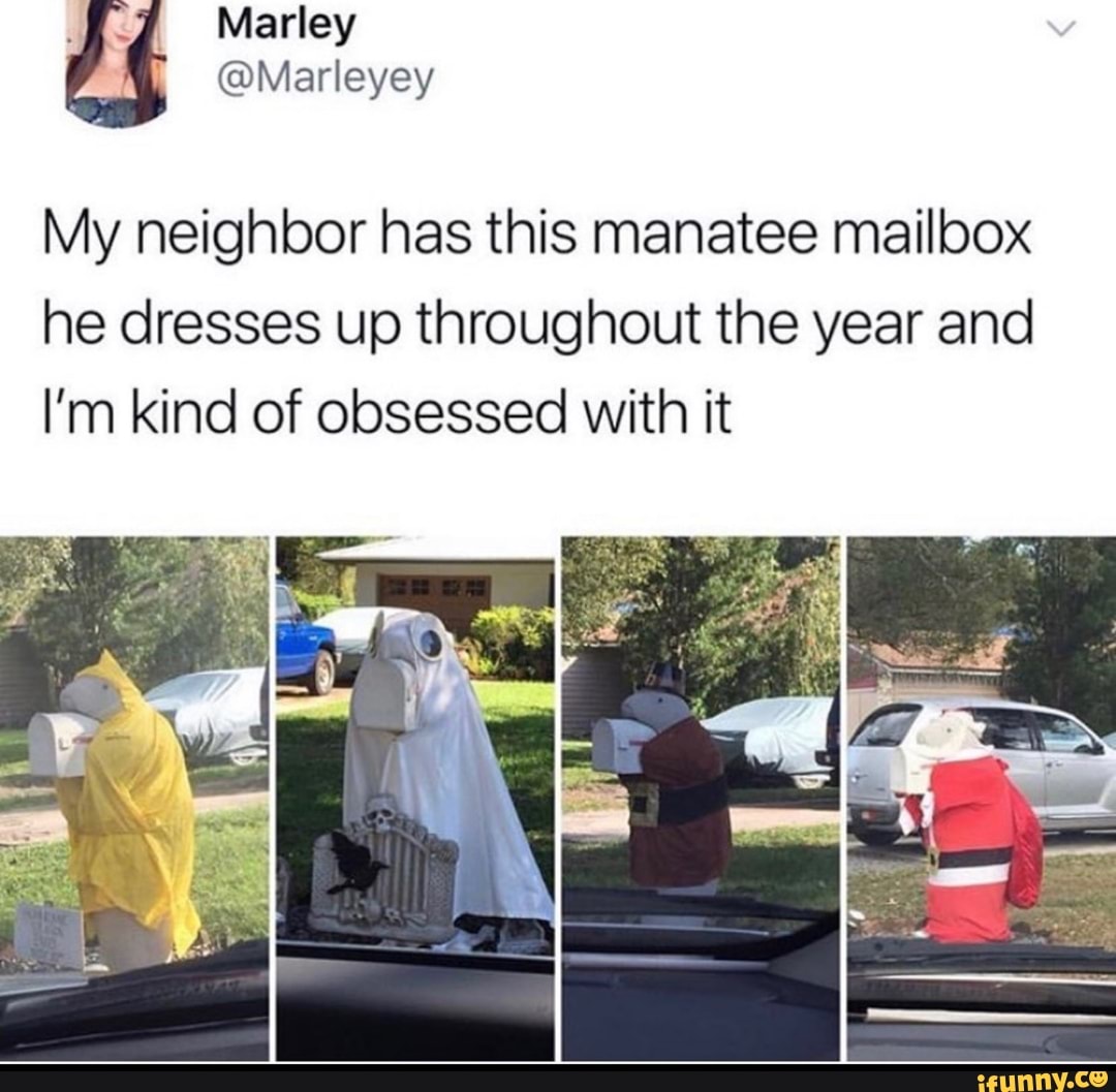 My neighbor has this manatee mailbox
he dresses up throughout the year and
I'm kind of obsessed with it