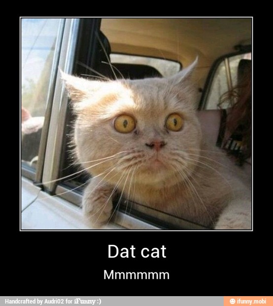 Dat cat - Dat cat
Mmmmmm