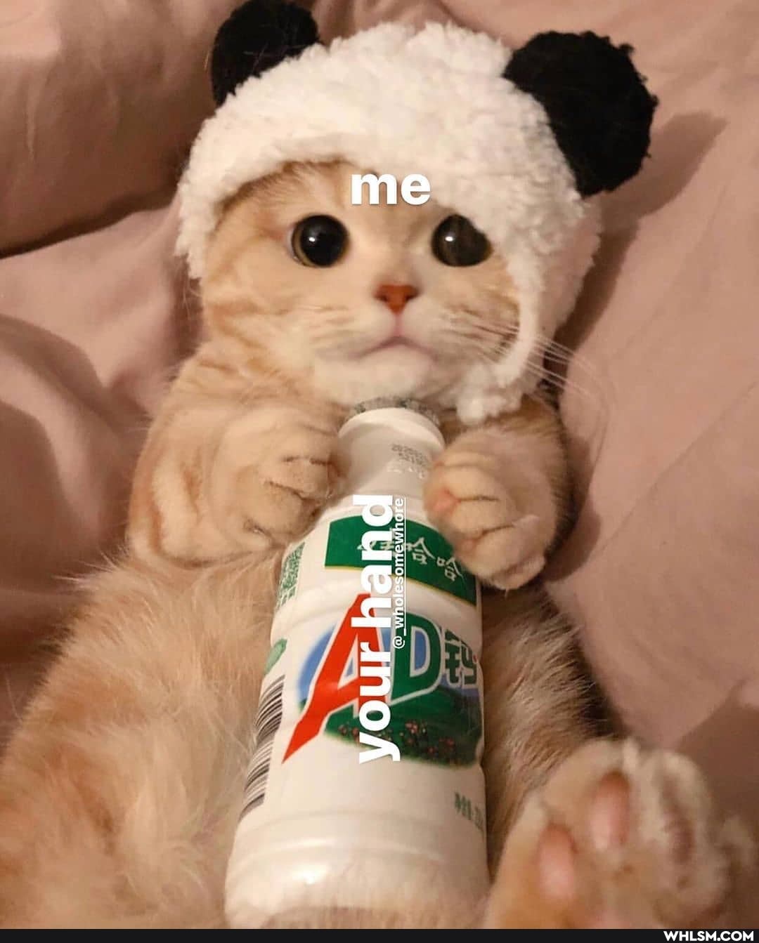 me
puey inoA