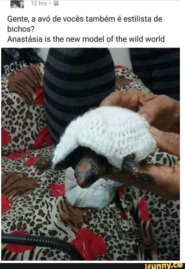 Gente, a avó de vocês também é estilista de
bichos?