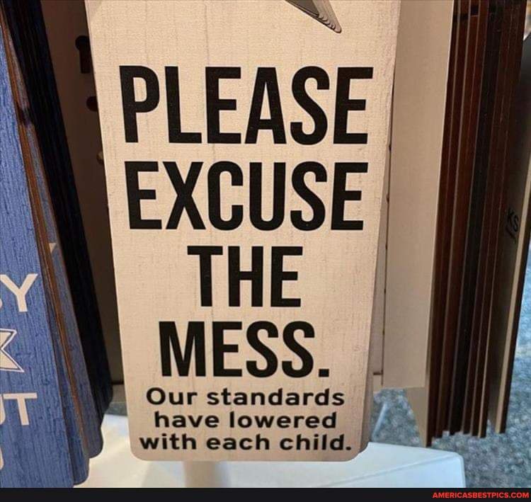 Mess Hav PLEASE EXCUSE THE MESS. have standards lowered have lowered with each ...