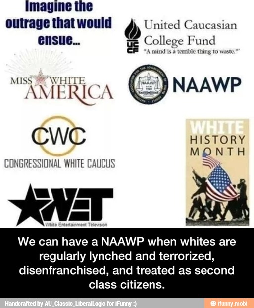 MISS WHITE
AMERICA
CONGRESSIONAL WHITE CAUCUS
We can have a NAAWP when whites are
regularly lynched and terrorized,
NAAWP
disenfranchised, and treated as second
class citizens. - We can have a NAAWP when whites are regularly lynched and terrorized, disenfranchised, and treated as second class citizens.