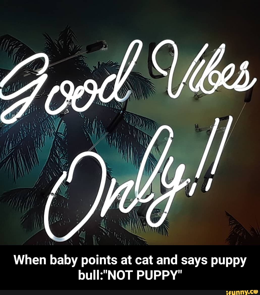 When baby points at cat and says puppy
bull:"NOT PUPPY" - When baby points at cat and says puppy bull:"NOT PUPPY"