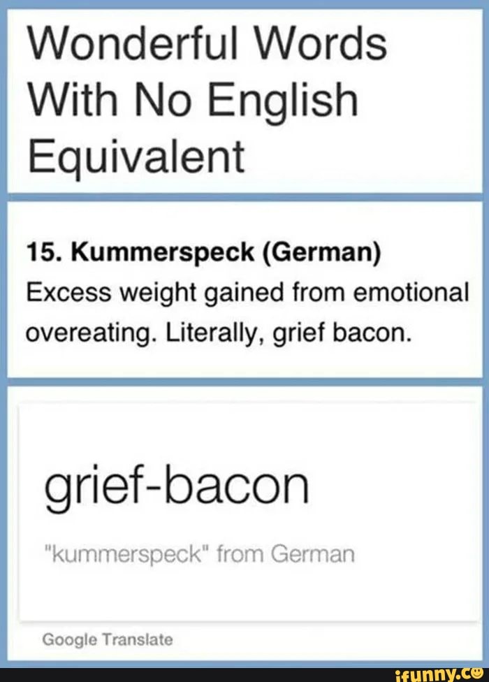 wonderful-words-with-no-english-equivalent-15-kummerspeck-german