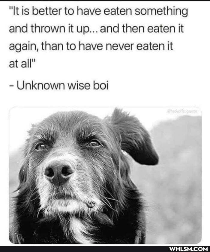 "It is better to have eaten something and thrown it up... and then eaten it again, than to have never eaten it
at all"
Unknown wise boi