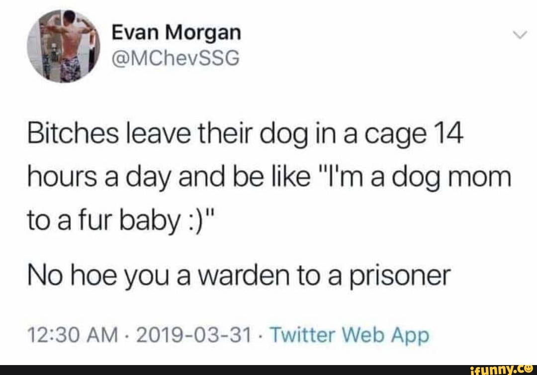 Bitches leave their dog in a cage 14 hours a day and be like "I'm a dog