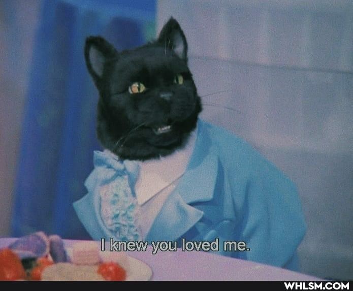 wemmliiknetuycu,loved me: