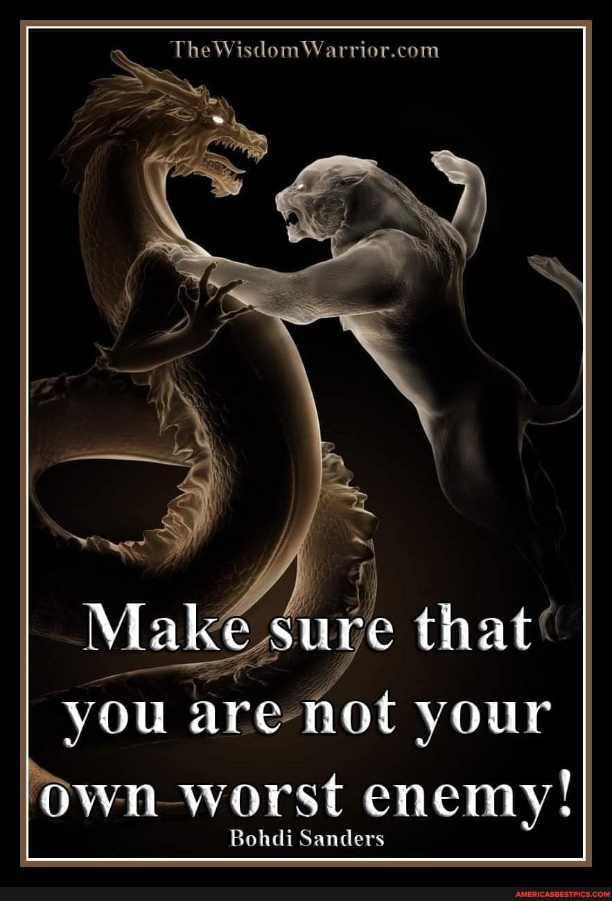 'The Wisdom
Make suve that
you are not your
Own worst enemy!
hal Sanders
