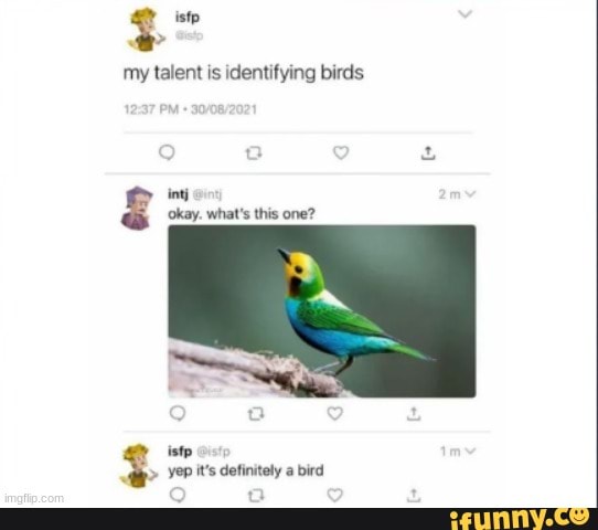 Istp Memes Best Collection Of Funny Istp Pictures On Ifunny