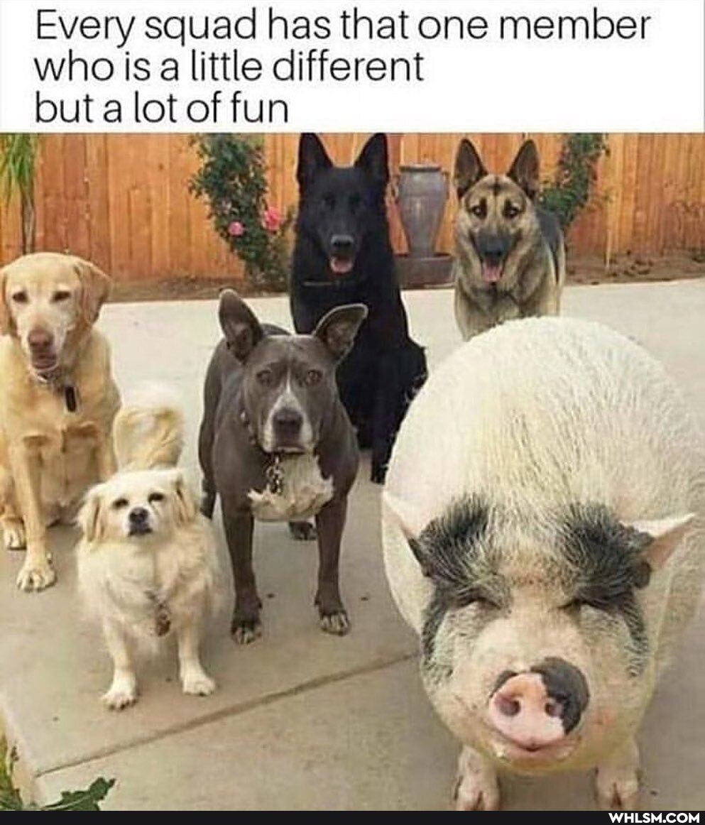 who is a little different ut a lot of fun
le
Every squad has that one member