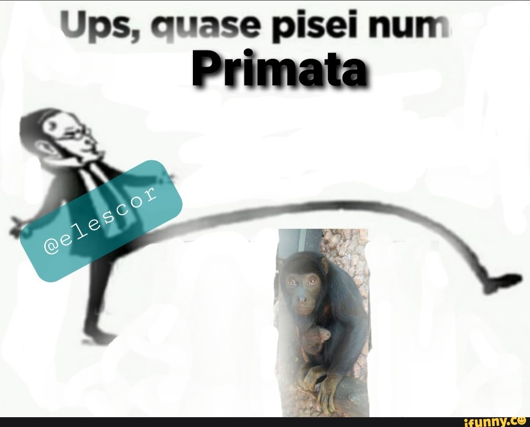 Ulos, quase pisei num