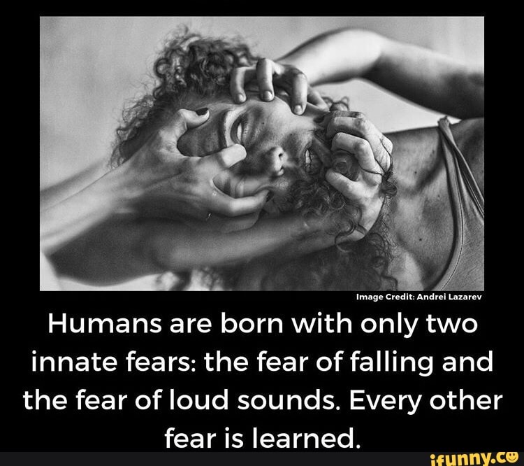 humans-are-born-with-only-two-innate-fears-the-fear-of-falling-and-the