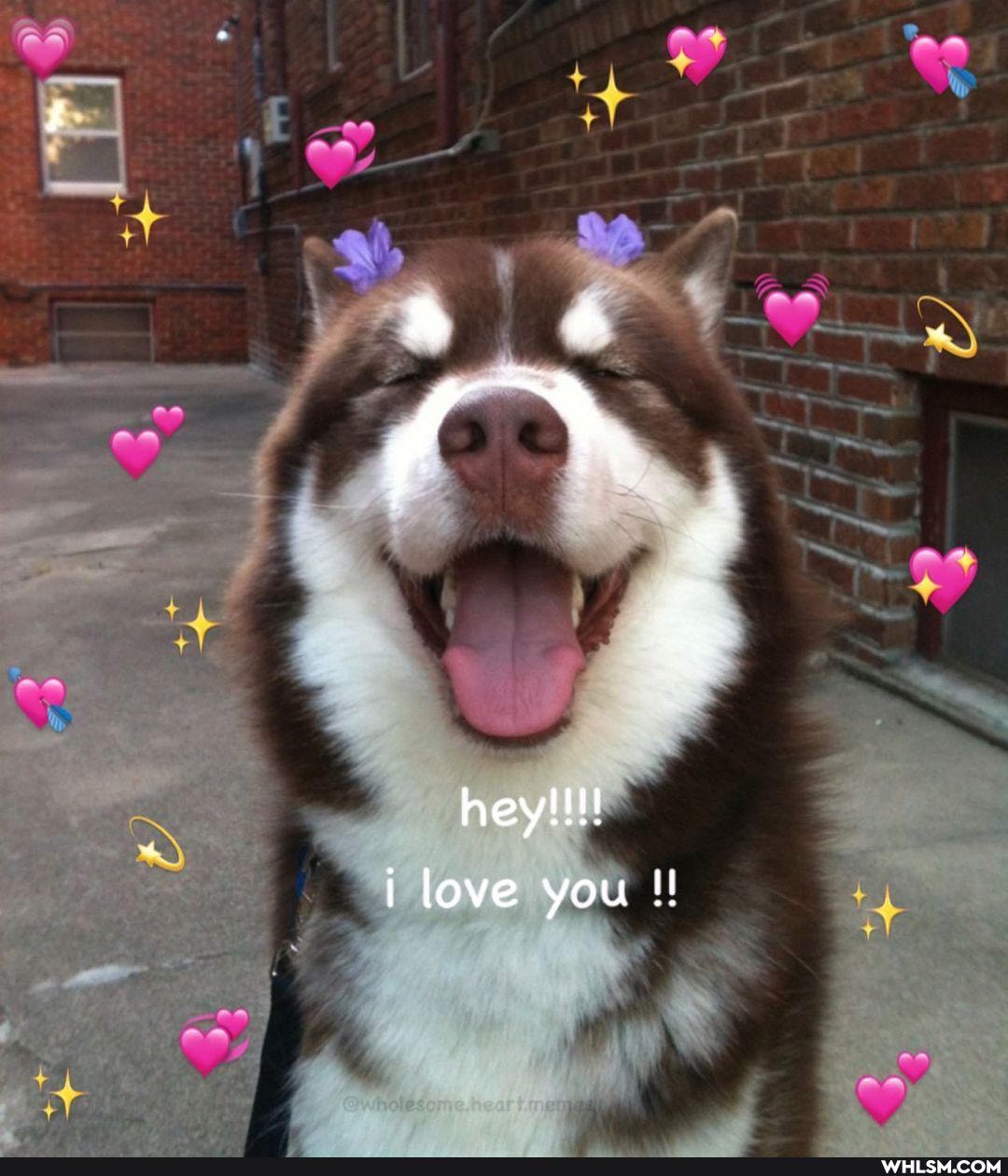 hey love you