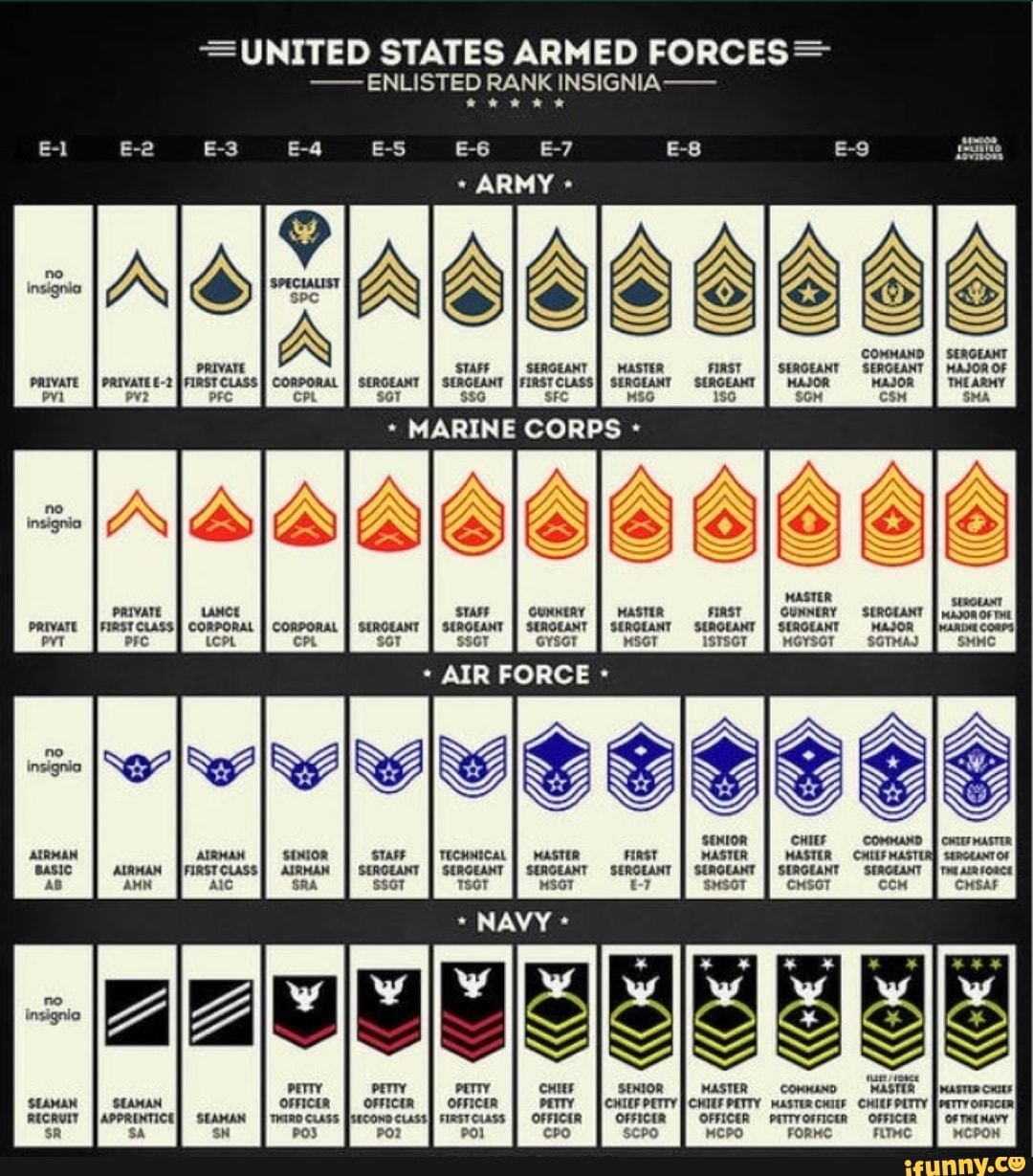 No insignia =UNITED STATES ARMED FORCES> ENLISTED RANK INSIGNIA-- ARMY ...