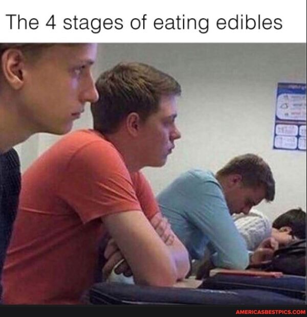 The 4 stages of eating edibles
