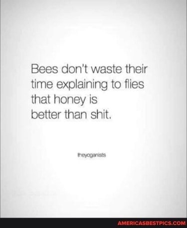 Bees don't waste their time explaining to flies that honey is
better than shit.