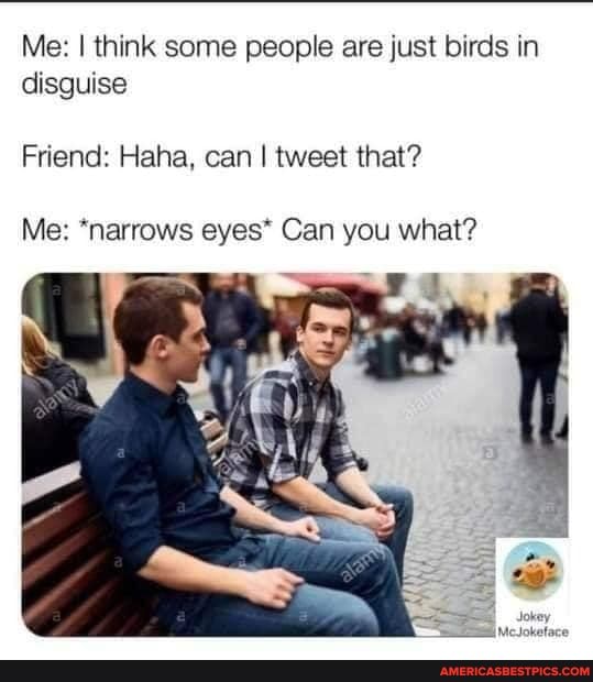 Me: I think some people are just birds in disguise
Friend: Haha, can I tweet that?
Me: *narrows eyes* Can you what?