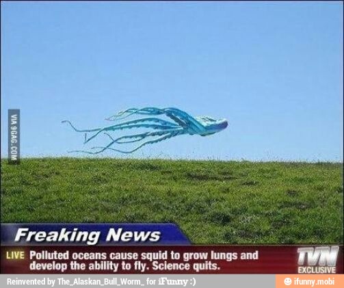 "Freaking News
LIVE Polluted oceans cause squid to grow lungs
E
develop the ability to fly. Science quits.