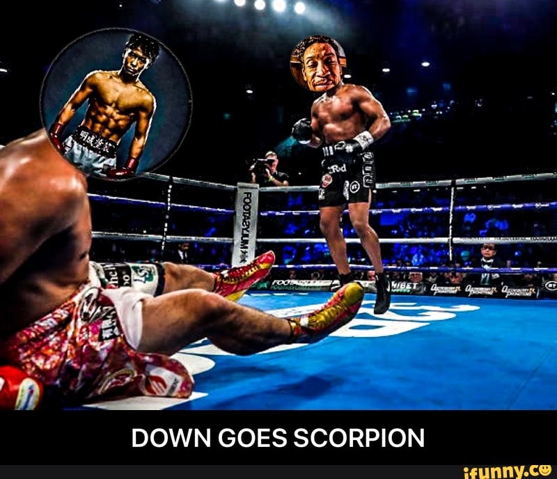 DOWN GOES SCORPION - DOWN GOES SCORPION