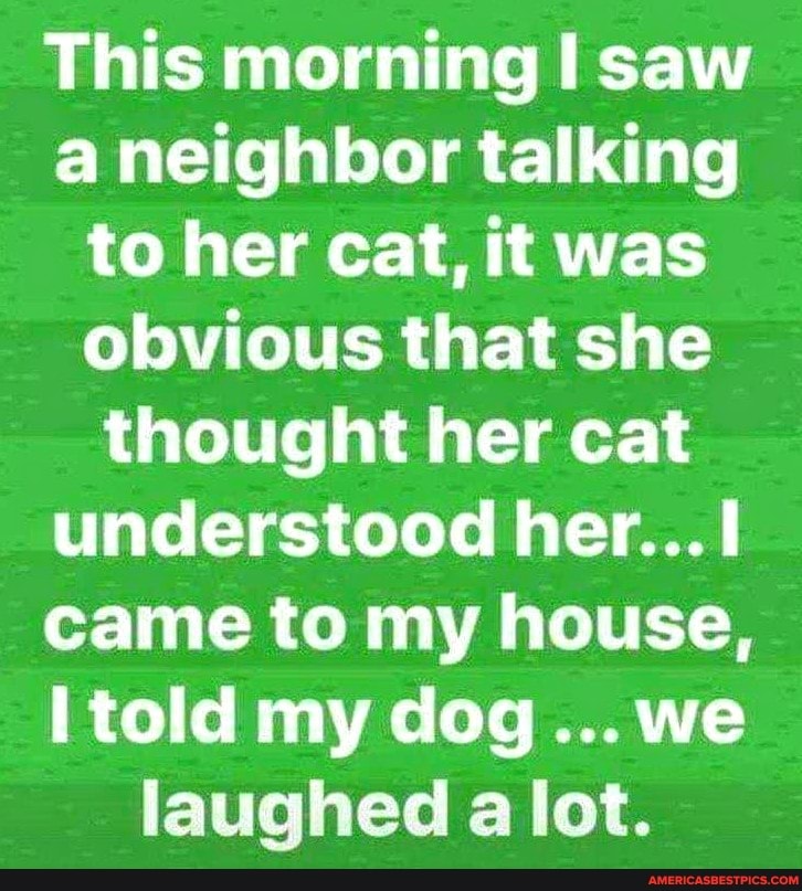 This morning saw a neighbor talking to her cat, it was obvious that she thought her cat understood her...
came to my house, told my dog... we laughed a lot.