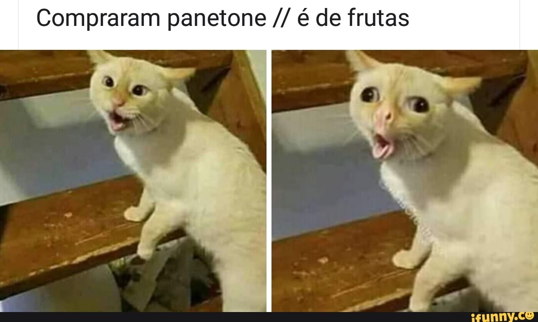 Compraram panetone é de frutas