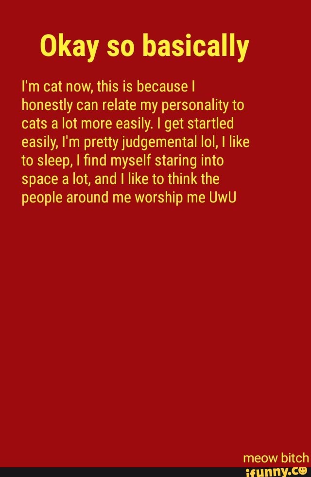 Okay so basically I'm cat now, this is becausel honestly can relate my