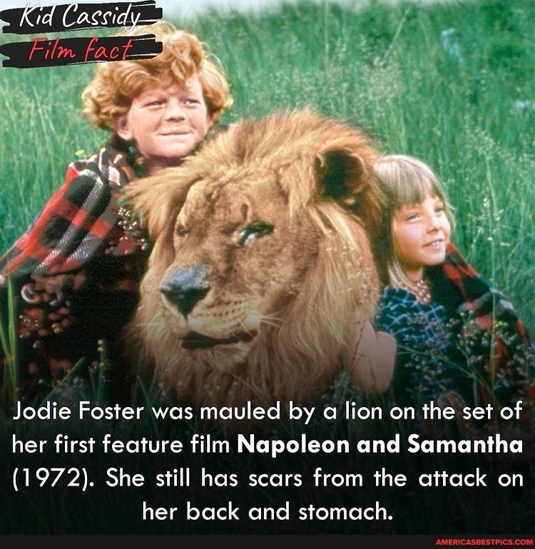 Film Jodie Foster was mauled by a lion on the set of her first feature ...